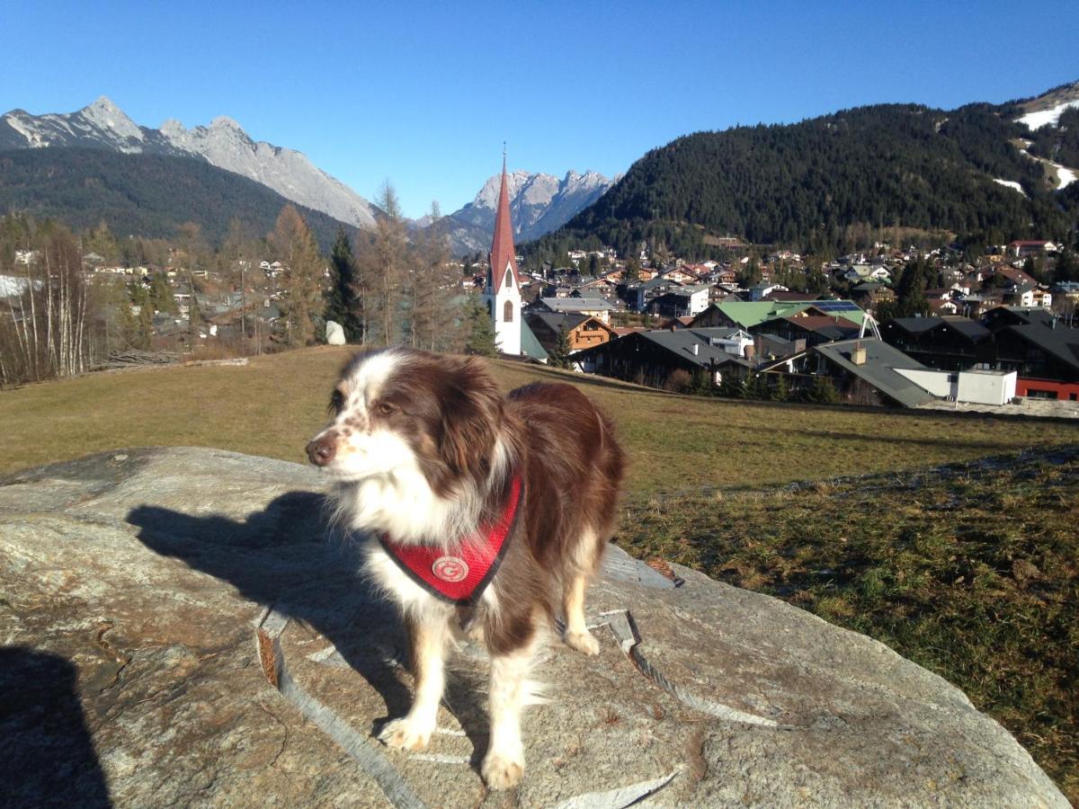 Fewo Lebensfreude Mittenwald Luaran gambar