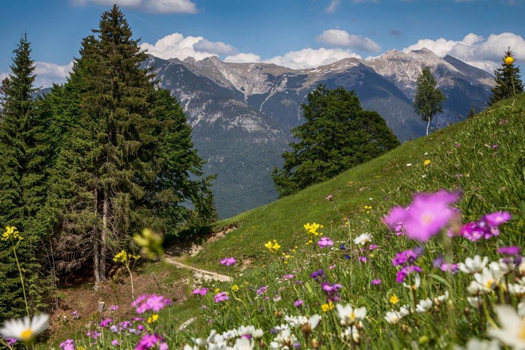 Fewo Lebensfreude Mittenwald Bilik gambar