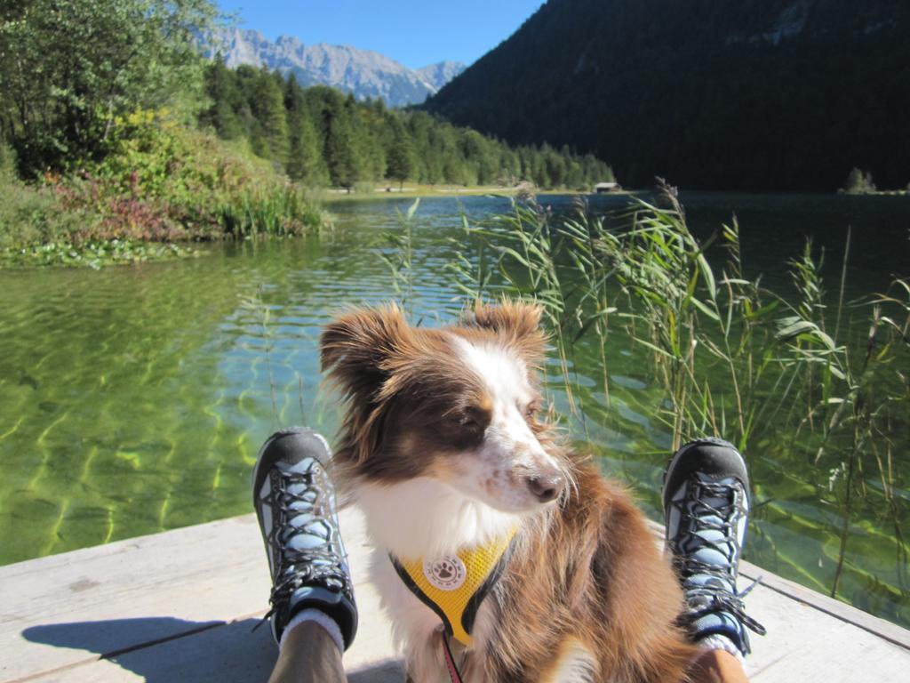 Fewo Lebensfreude Mittenwald Bilik gambar