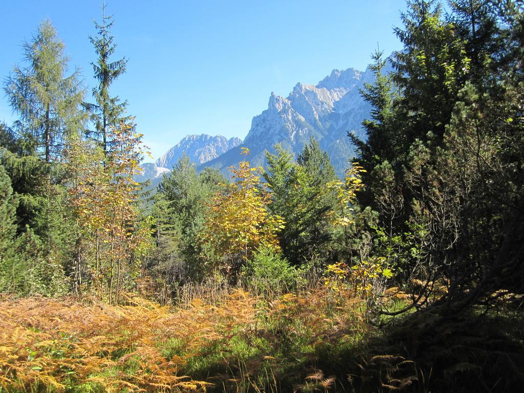 Fewo Lebensfreude Mittenwald Bilik gambar